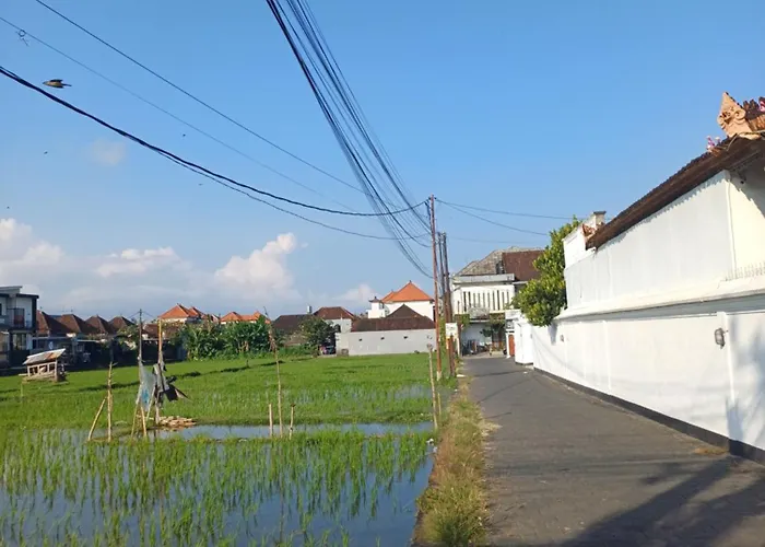 Mondok Dini